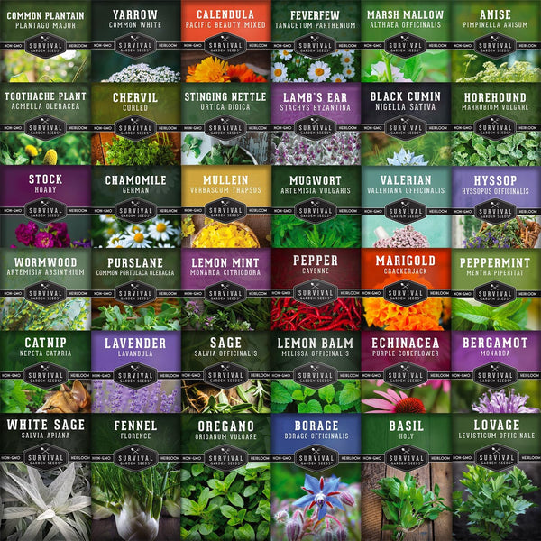 (Free book how to grow your own medicine) 36 Variety Pack of Herb Seeds for Growing Essential Healing Plants